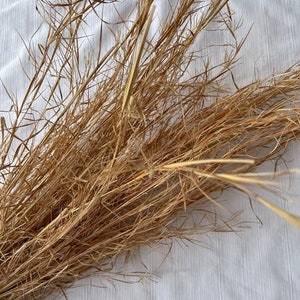 May include: A bunch of dried, light brown grass stems. The stems are long and thin, and they are arranged in a loose bundle.