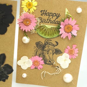 Tarjeta de feliz cumpleaños hecha a mano con temática de toro / Tarjeta de felicitación con flores secas y musgo hecha a mano - Kiwi grande seco
