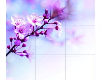Chery blossoms artwork is just incredible. Very beautiful and prints with full color and vibrancy