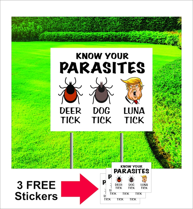 Deporting US citizens sign. Anti Trump sign. Comes with 3 FREE stickers. Time to show support for this country afbeelding 7
