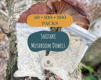 Tacos de setas shiitake | Semillas de setas para troncos | Setas de madera dura | Lentinula edodes