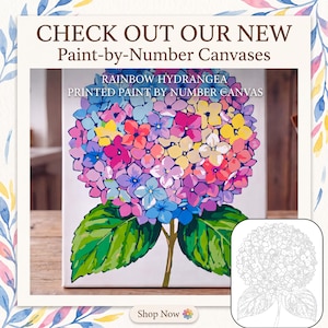 May include: A paint-by-number canvas featuring a rainbow hydrangea with blue, purple, pink, and yellow petals and green leaves. The text reads: CHECK OUT OUR NEW Paint-by-Number Canvases, RAINBOW HYDRANGEA PRINTED PAINT BY NUMBER CANVAS, and Shop Now.