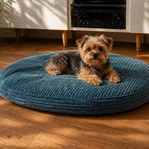 May include: A small, brown and black Yorkshire Terrier dog rests on a round, teal corduroy pet bed. The bed is on a hardwood floor, and the dog is looking directly at the camera. The bed has a ribbed texture.