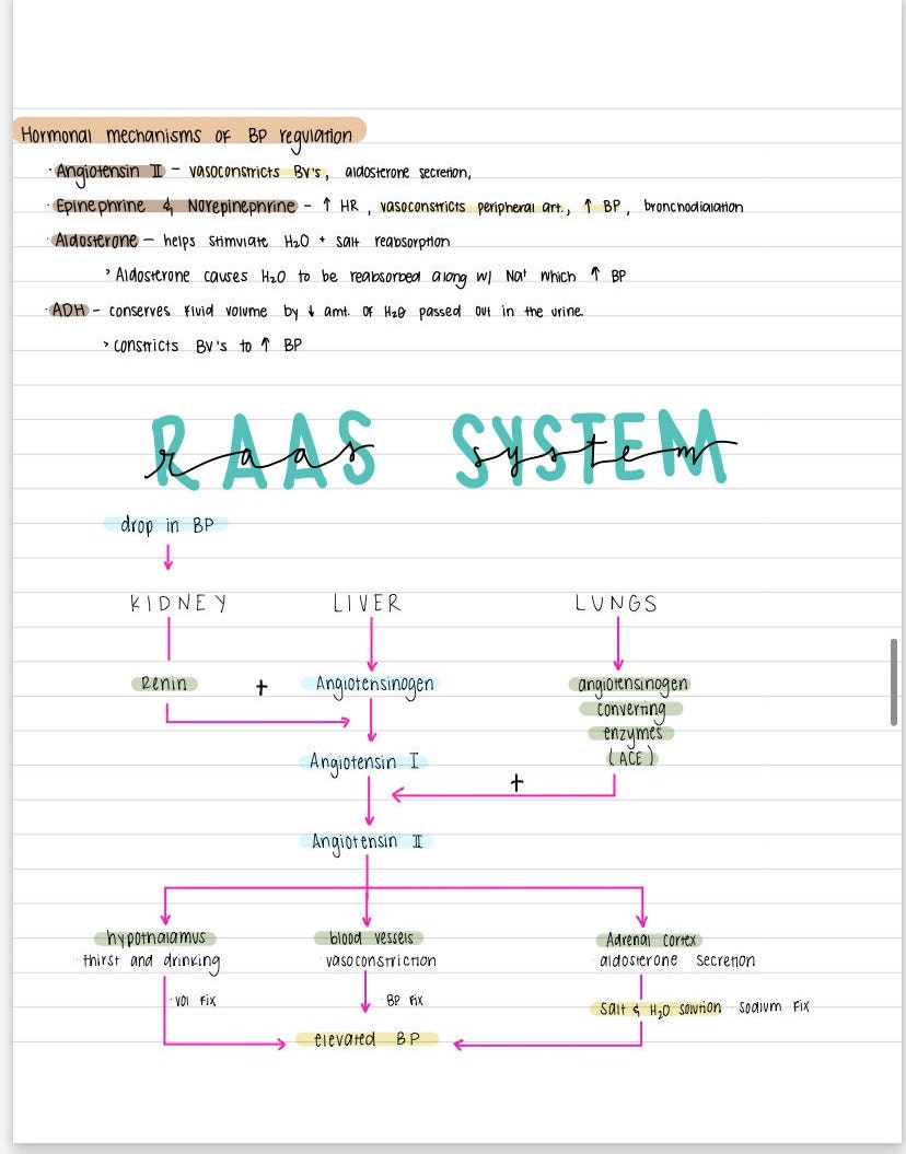 Pathophysiology Nursing Notes - Etsy