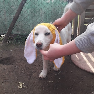 Bonnet snood pour chien en tricot avec oreilles de lapin, snood pour chien de photographie d'animaux de compagnie, chapeau de Pâques pour chien de compagnie, cache-cou pour chien, vêtements pour chien, cadeaux pour chien et chapeau de lapin pour chien image 4