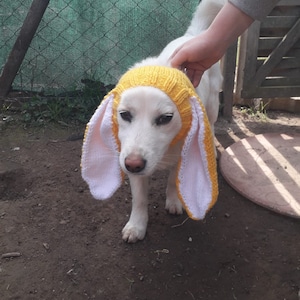 Bonnet snood pour chien en tricot avec oreilles de lapin, snood pour chien de photographie d'animaux de compagnie, chapeau de Pâques pour chien de compagnie, cache-cou pour chien, vêtements pour chien, cadeaux pour chien et chapeau de lapin pour chien image 1