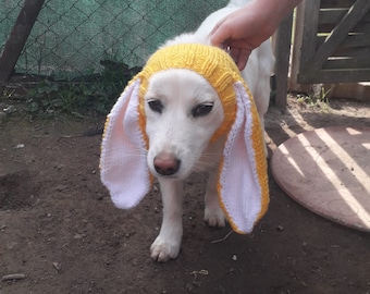 Bonnet snood pour chien en tricot avec oreilles de lapin, snood pour chien de photographie d'animaux de compagnie, chapeau de Pâques pour chien de compagnie, cache-cou pour chien, vêtements pour chien, cadeaux pour chien et chapeau de lapin pour chien