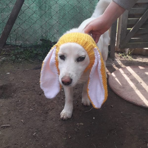 Knit Dog snood hat bunny ear, Pet Photography Dog snood, Easter pet Dog hat,Dog neck warmer, Dog Pet clothes, Dog gifts, Dog bunny hat