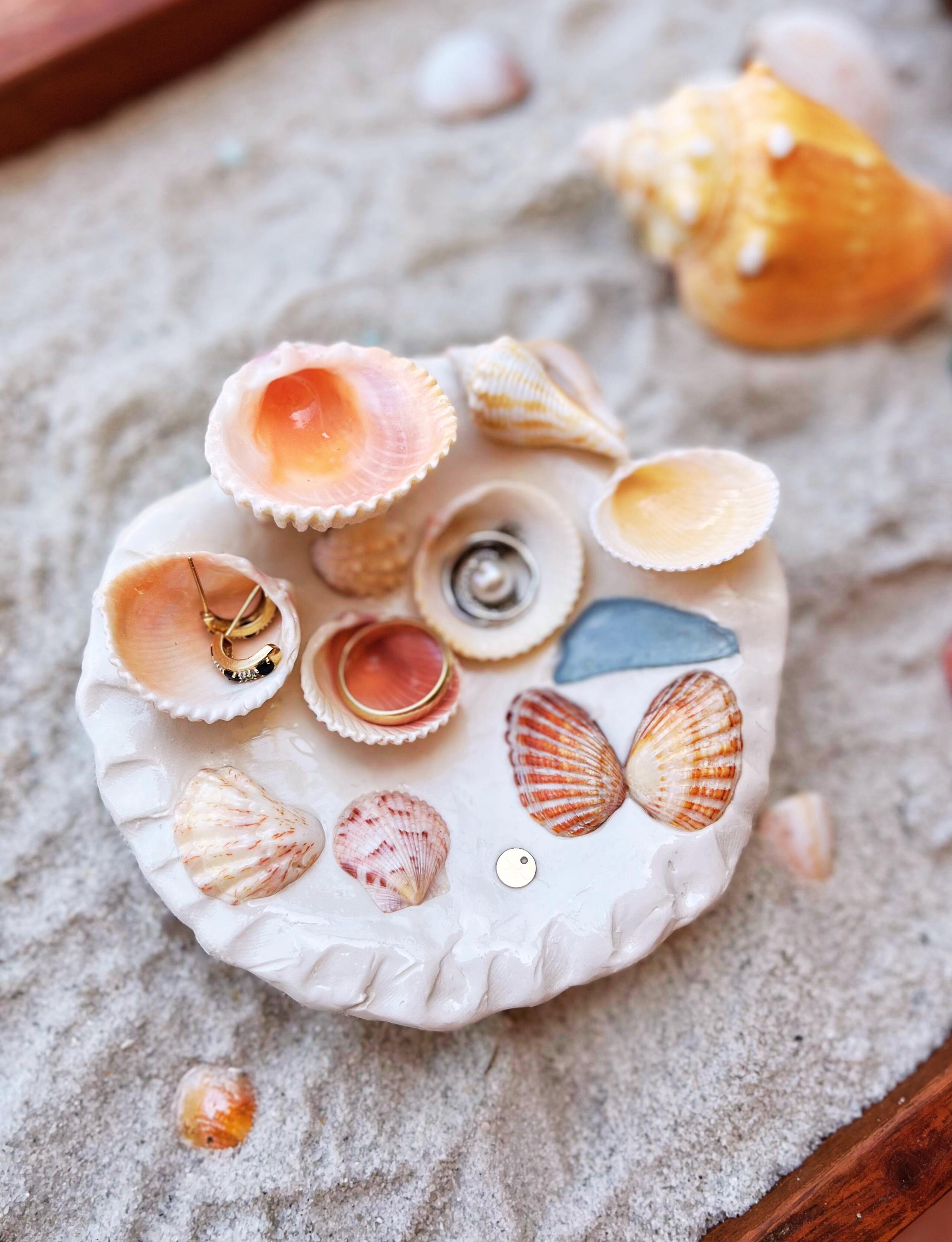 Painted Shell Pinterest Shells Pinterest