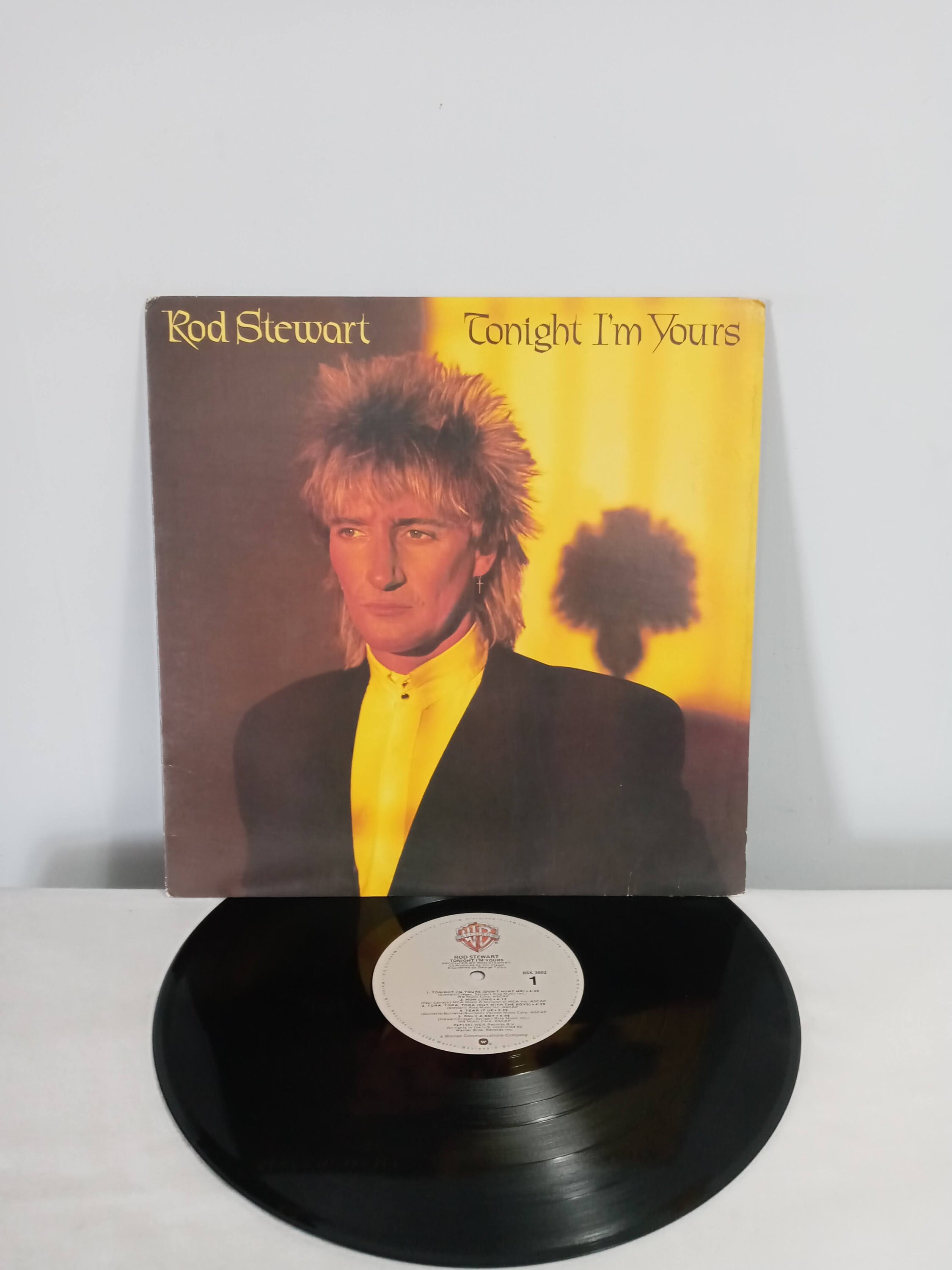 Rod Stewart / Tonight I'm Yours / 1981 - Etsy