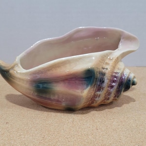 Vintage Ceramic Conch Shell Indoor Planter Seashell Beach House Decor Seaside Gift Idea Gorgeous Colorful