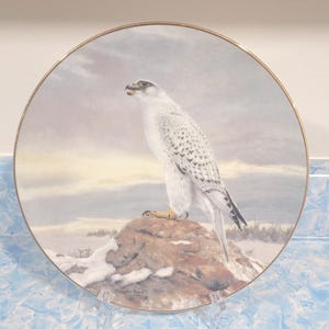 Vintage 1991 Bradford Exchange &#39;Soaring Majesty&#39; The Gyrfalcon 8.5 inch Plate, George Frace&#39; Bradex 84-G20-47.6