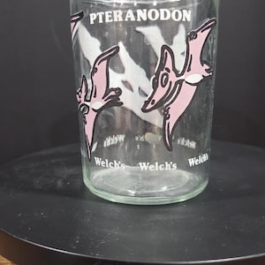 Op de afbeelding: Transparante glazen beker met een roze en zwart Pteranodon-ontwerp. De tekst "PTERANODON" staat boven de afbeelding van de dinosaurus. De woorden "Welch's" staan onderaan het glas.
