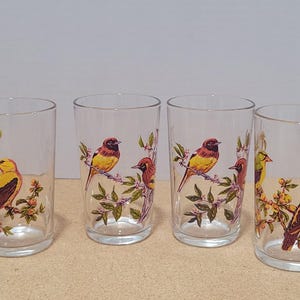 Vintage 1960s Exotic Birds Glass Tumblers Hooded Oriole and Goldfinch Arcoroc Glassware made in France