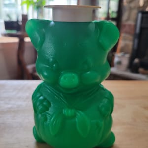DELIGHTFUL Blow Mold Piggy Bank, White Hat, Plastic, Green, Vintage, Retro  Credit Union RewardPig Money Bank Savings