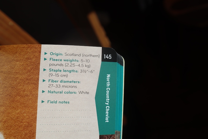 Peut inclure: Gros plan sur une page de livre avec des informations sur le mouton North Country Cheviot. Le texte comprend l'origine, le poids de la toison (2,25-4,5 kg), la longueur des fibres (9-15 cm), le diam&egrave;tre des fibres et les couleurs naturelles. Le num&eacute;ro de page 145 est visible.