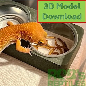 May include: A close-up of a leopard gecko eating mealworms from a clear plastic dish. The gecko is orange and yellow with black spots. The dish is sitting on a green platform. The text "3D Model Download" is visible in the top right corner of the image.
