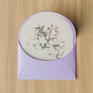 Modèle d'enveloppe SVG pour Cricut - Design arqué