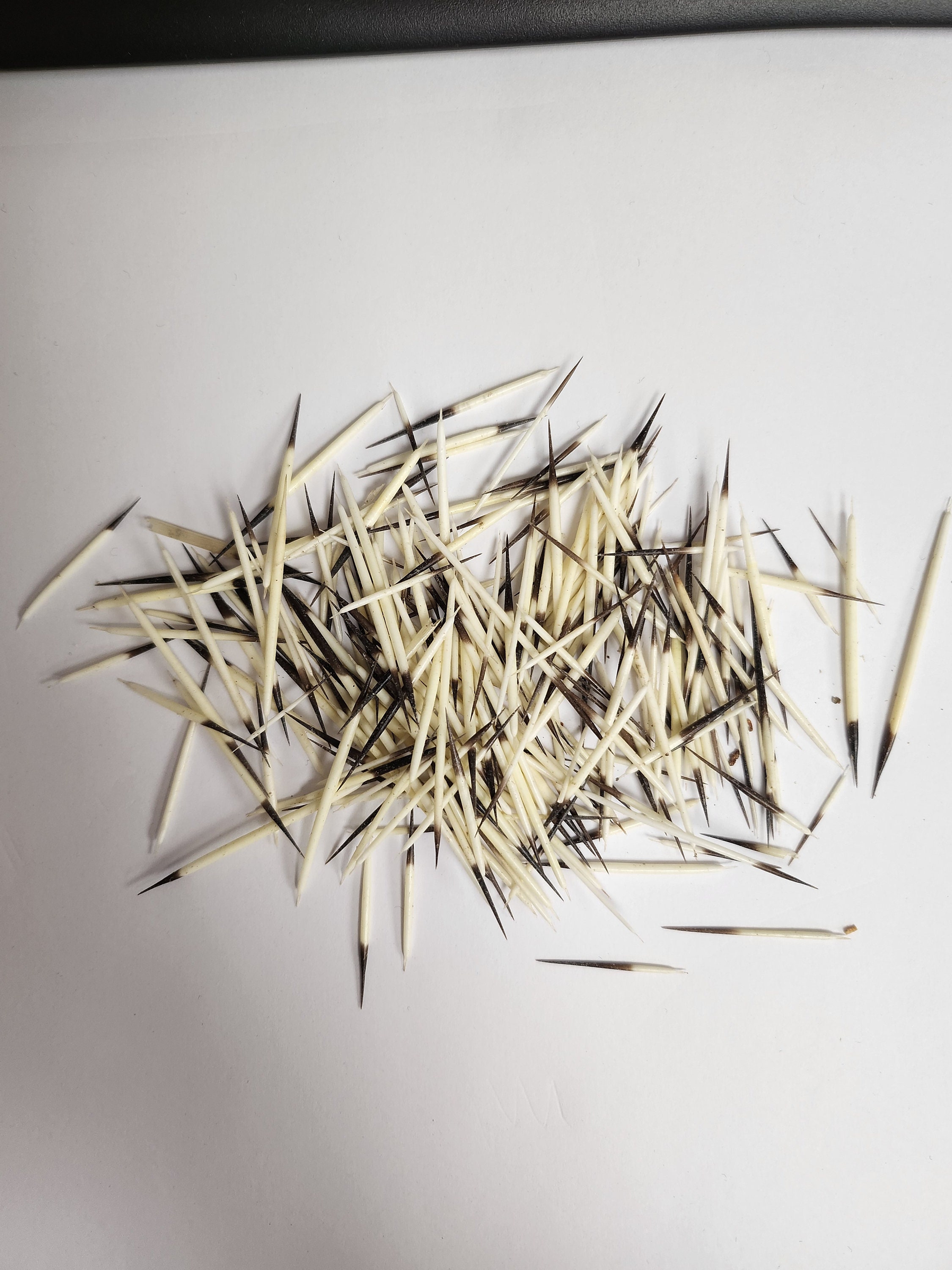 porcupine quills art