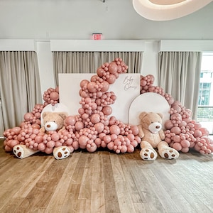 Dusty Pink Balloon Arch Kit Birthday Garland DIY Kit Blush Cameo Pastel Baby Shower Bridal Sweet 16 Elegant Party Decor Boho Rose Wedding