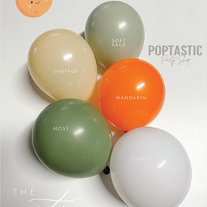 DIY Cutie Orange Balloon Garland Arch Kit / Mandarin Orange, Cutie on the Way, Baby Shower, First Birthday