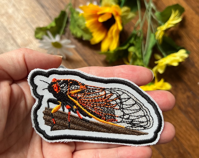 Cicada Patch Hand-made Insect Gift