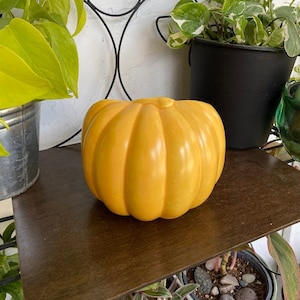Pode incluir: Um vaso de cerâmica amarelo em forma de abóbora. O vaso tem ranhuras verticais e está sobre uma prateleira castanha escura. Plantas verdes em vasos são visíveis no fundo.