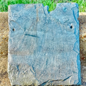 Hand-Cut Roofing Slate | 19th century Salvage | Rustic Decor | NSU Normal School