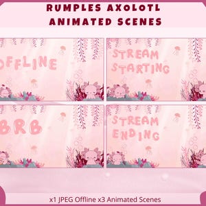 Rumples Axolotl Animated Twitch Overlays | Kawaii | Streamer | Streaming | Youtube | Pink | Girlypop | Sea |