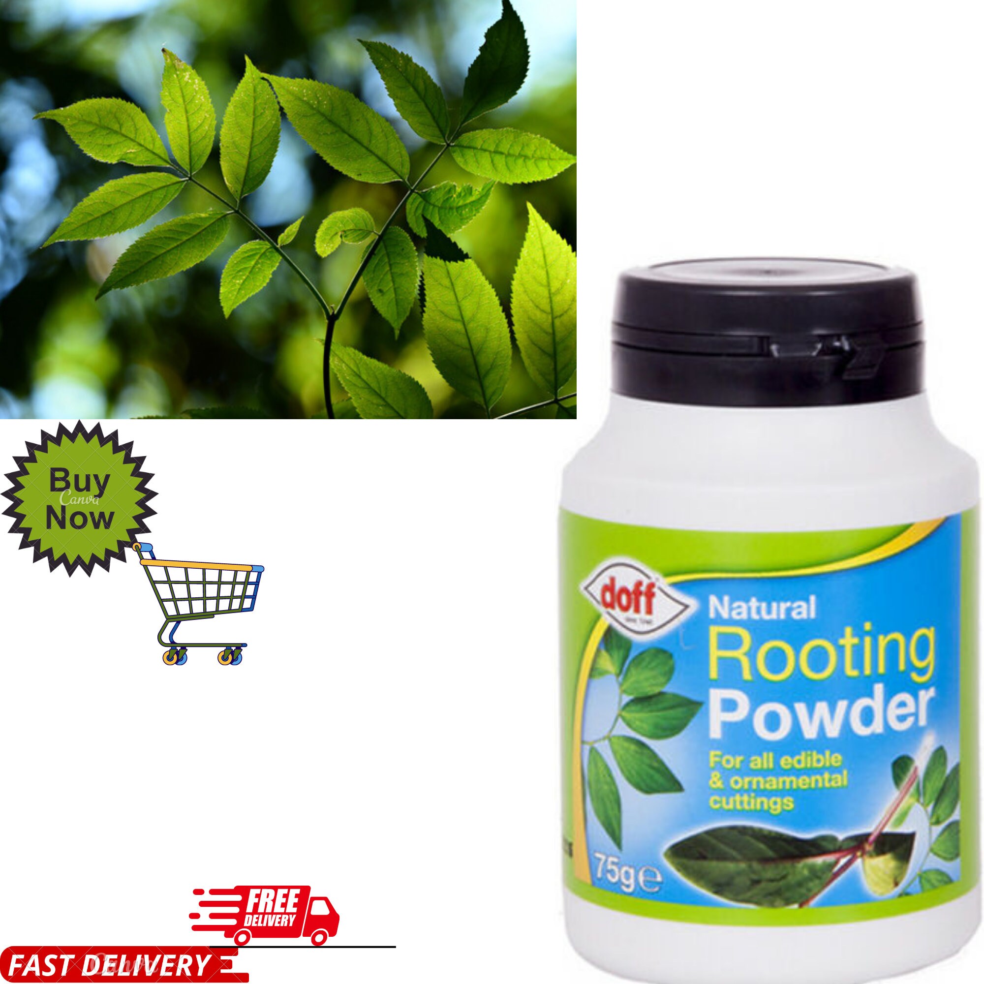Doff Natural Hormone Rooting Powder Pack for Edible Indoor and Garden