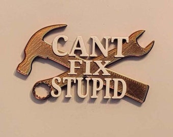 Can't Fix Stupid 3D Magnet - Humorous Decorative Magnet for Home or Office