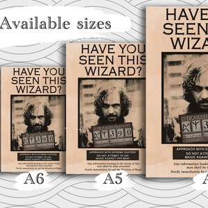 Have You Seen This Wizard Card Digital Poster Printable Gift for Friend ...