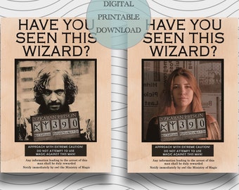 Have You Seen This Wizard Card Digital Poster Printable Gift for