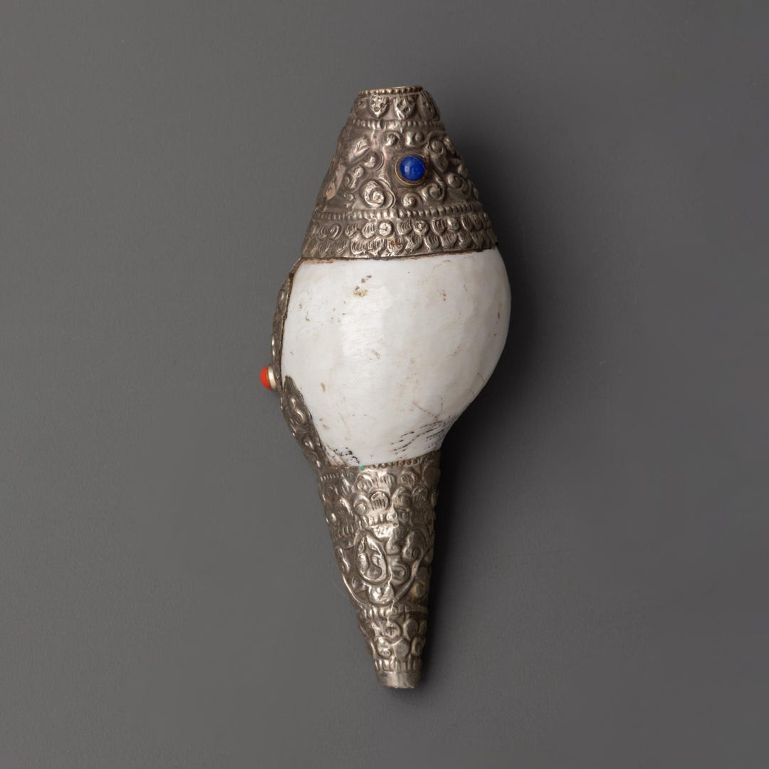 Tibetan Conch Shell | Handcrafted Buddhist Ritual Sacred Instrument ...
