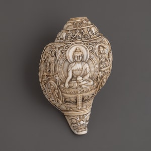 Buddha Engraved Conch Shell | Hand-Carved Tibetan Shankha for Meditation and Ritual | Sacred Buddhist Decor, Puja and Spiritual Artifact