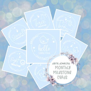 Cartes d'étapes mensuelles pour bébé en bleu - Imprimable en téléchargement numérique pour la première année de bébé