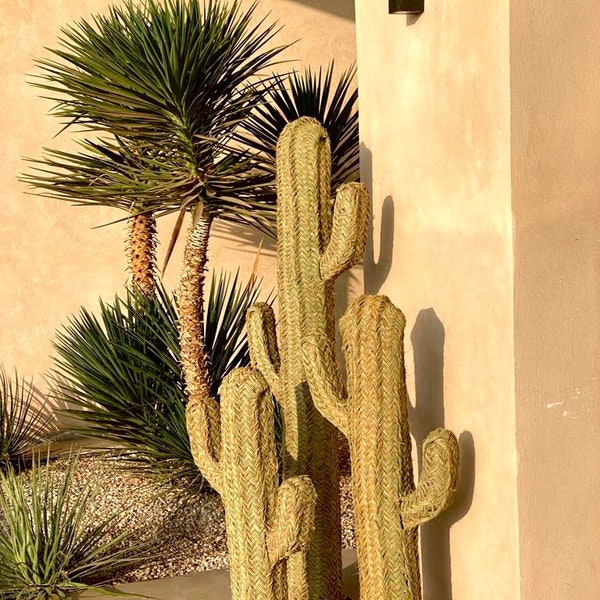 Decoratie Cactus van doum, cactus van stro, geweven natuurmateriaal op voet.