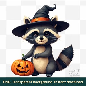 Raccoon Halloween PNG, Cute Witch Raccoon Sublimation, Halloween Raccoon Png Design, Funny Raccoon Png, Cute Spooky Season Png