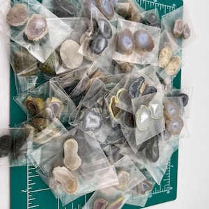 May include: A collection of small agate slices in individual plastic bags. The agate slices are various colors, including white, gray, brown, and purple. The bags are arranged on a green cutting mat.
