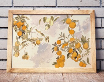 Vintage Orange Fruit Branch Print: Farmhouse Kitchen Botanical Art (Digital Download)