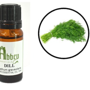 Dill Seed Essential Oil (Anethum graveolens)