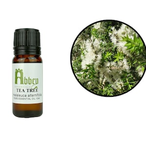 Tea Tree Essential Oil (Melaleuca alternifolia)