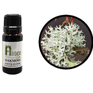 Oakmoss Essential Oil Evernia prunastri image 2