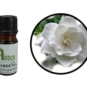 Natural Gardenia flower oil, CO2 extracted, CO2 extraction, 100
