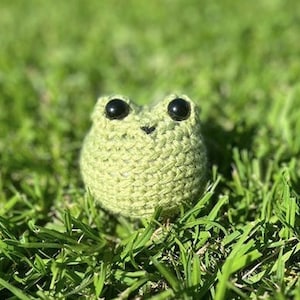 Small Green Frog! - Handmade Crochet Plushie