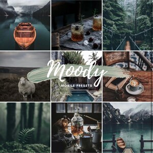 7 Moody Presets | Mobile Lightroom Presets | Blogger Photo Presets | Aesthetic Presets | Instagram Filters