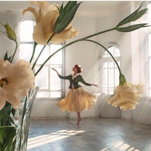 アンティーク 19世紀後半～20世紀初頭 / アンティーク コットン