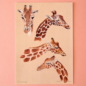 Giraffe Art Print - Wildlife Animal Art - Wall Decor