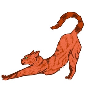 Downward Cathlete Poster