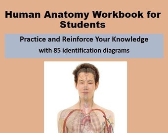 Human Anatomy Workbook for Students - Practice and Reinforce Your Knowledge with 85 Diagrams for Identification